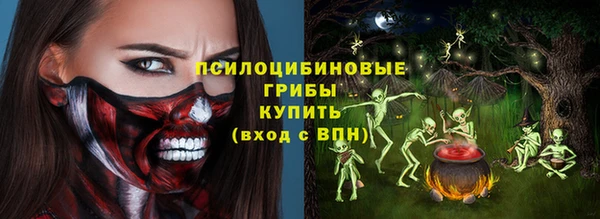 ECSTASY Заводоуковск